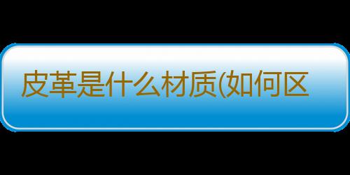 皮革是什么材质(如何区分皮革)