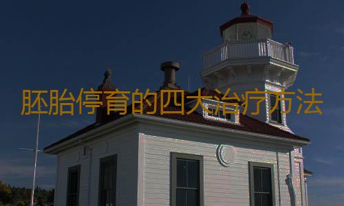 胚胎停育的四大治疗方法