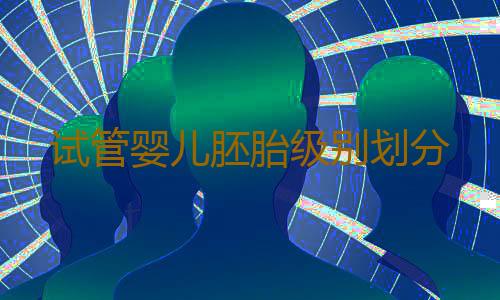 试管婴儿胚胎级别划分